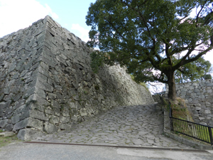 Fukuoka Castle Ruins